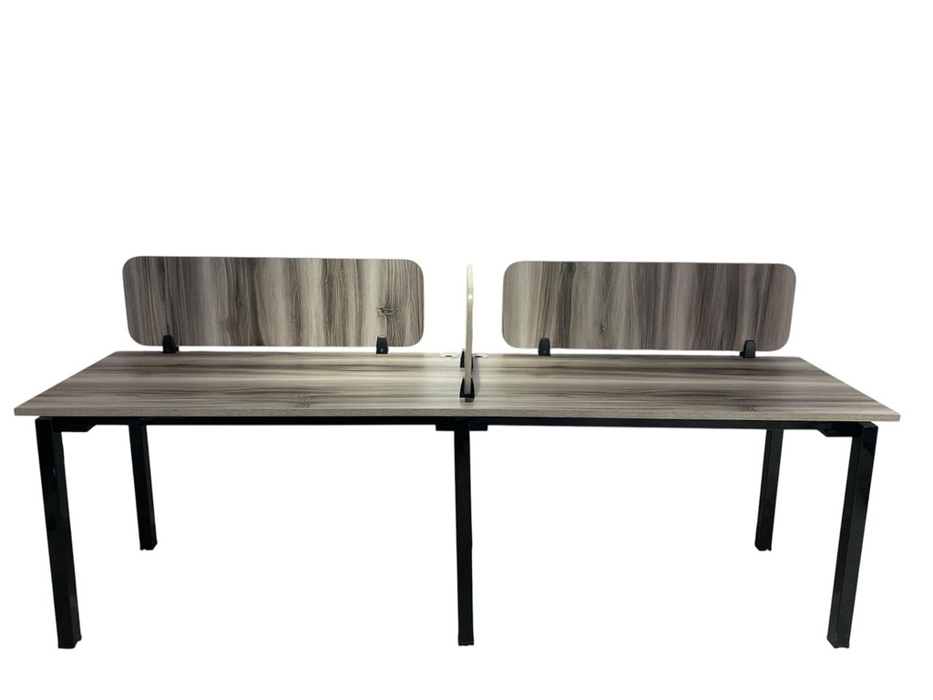 وركستيشن ثنائي 